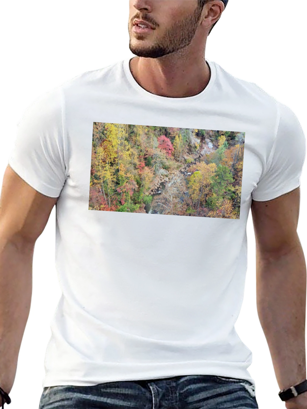 Autumn Forest Stream T-Shirt