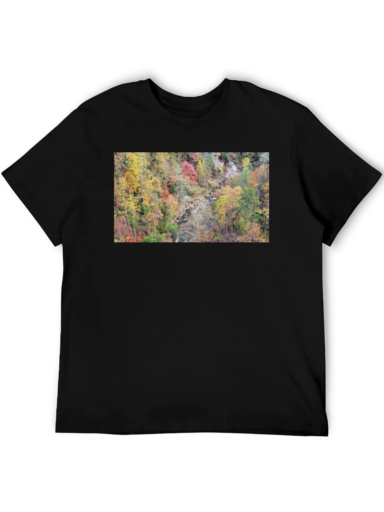 Autumn Forest Stream T-Shirt