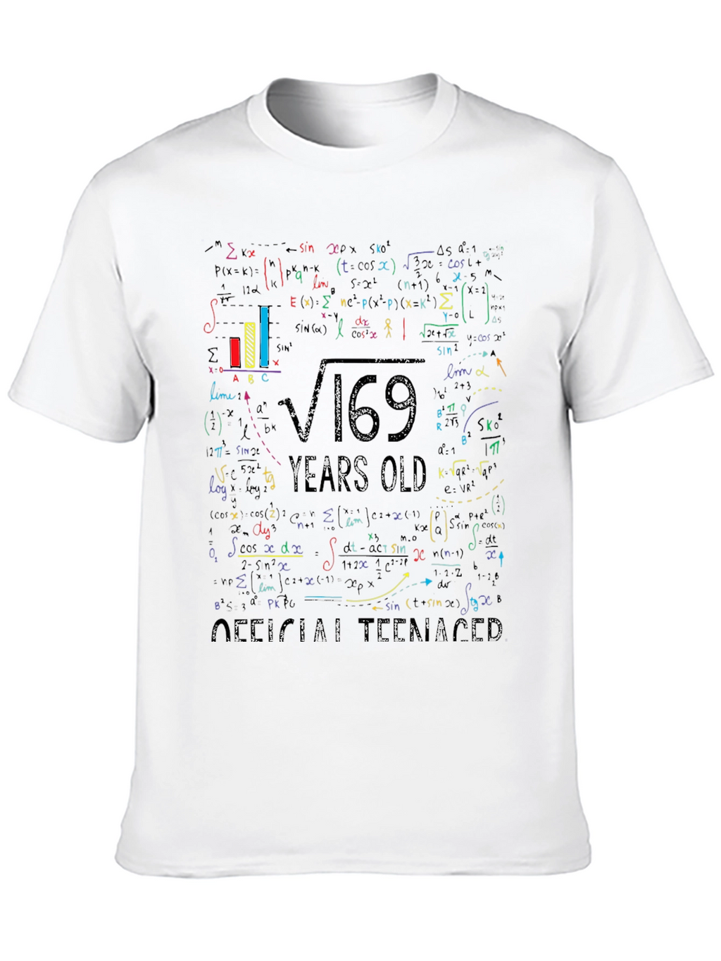 Math Formula 13 Years Old Teenager T-Shirt