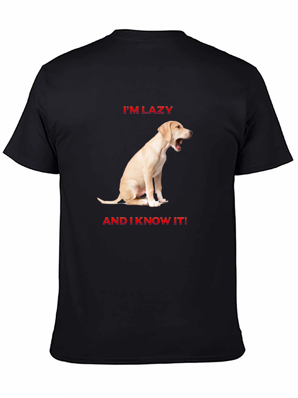 Lazy Dog Graphic T-Shirt - Comfort & Style