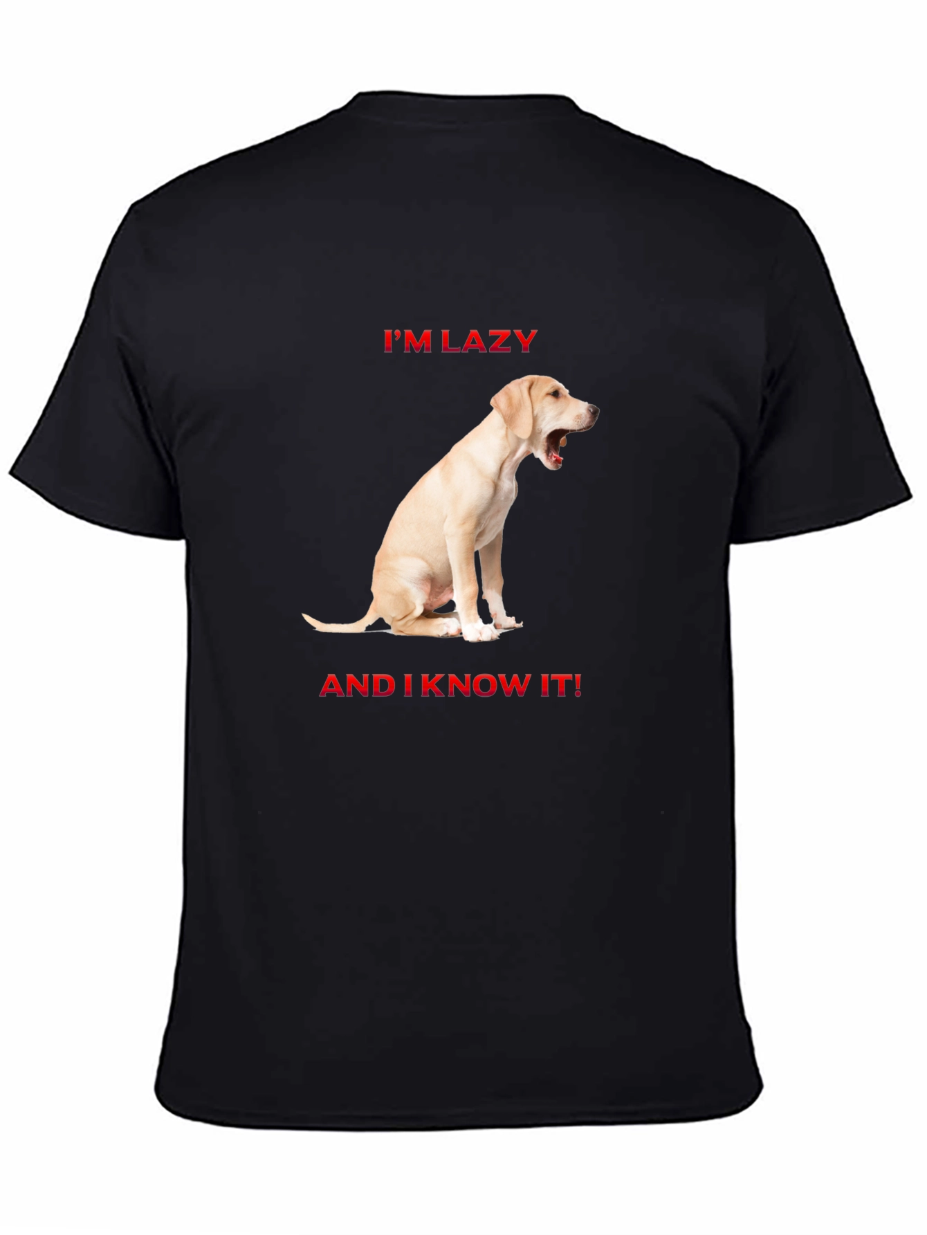 Lazy Dog Graphic T-Shirt - Comfort & Style