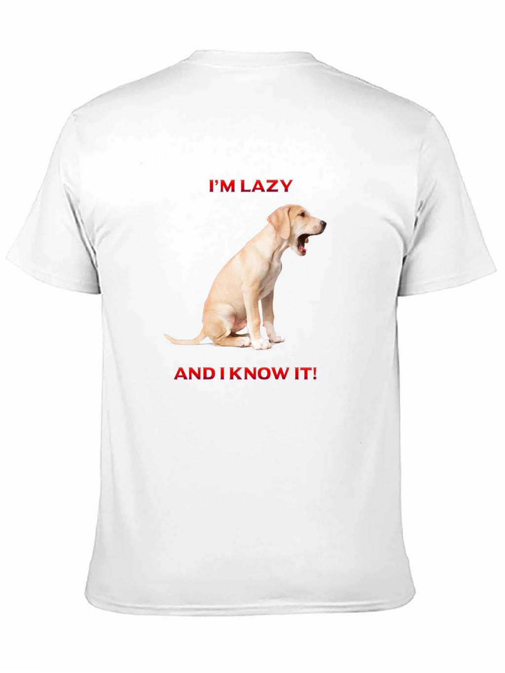 Lazy Dog Graphic T-Shirt - Comfort & Style