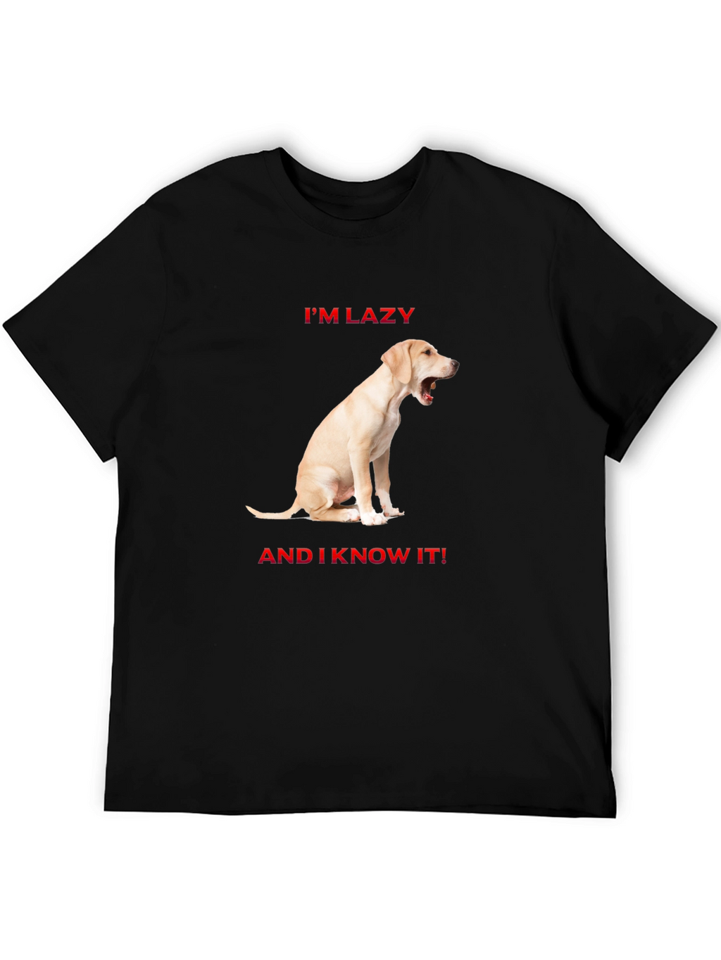 Lazy Dog Graphic T-Shirt - Comfort & Style