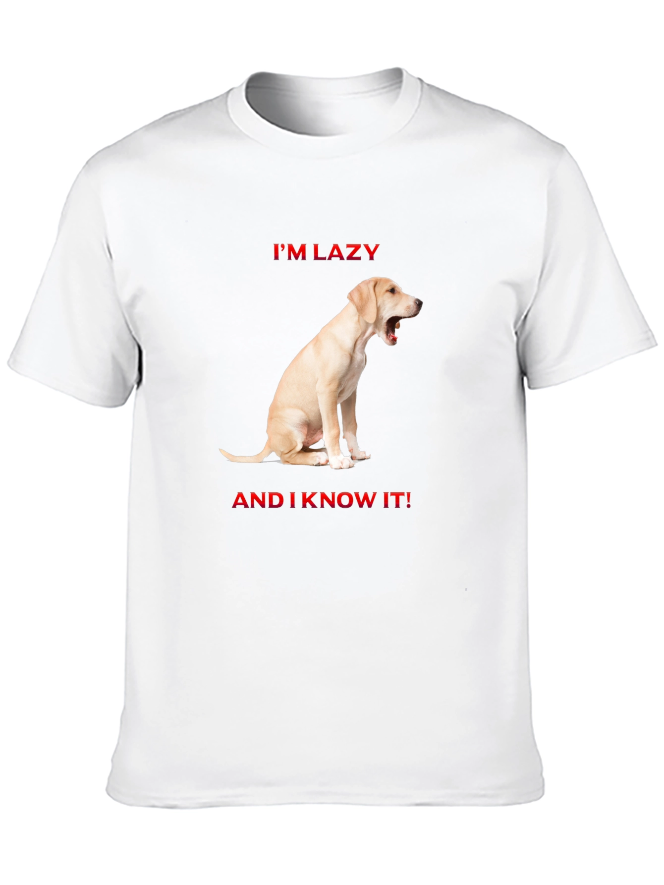 Lazy Dog Graphic T-Shirt - Comfort & Style