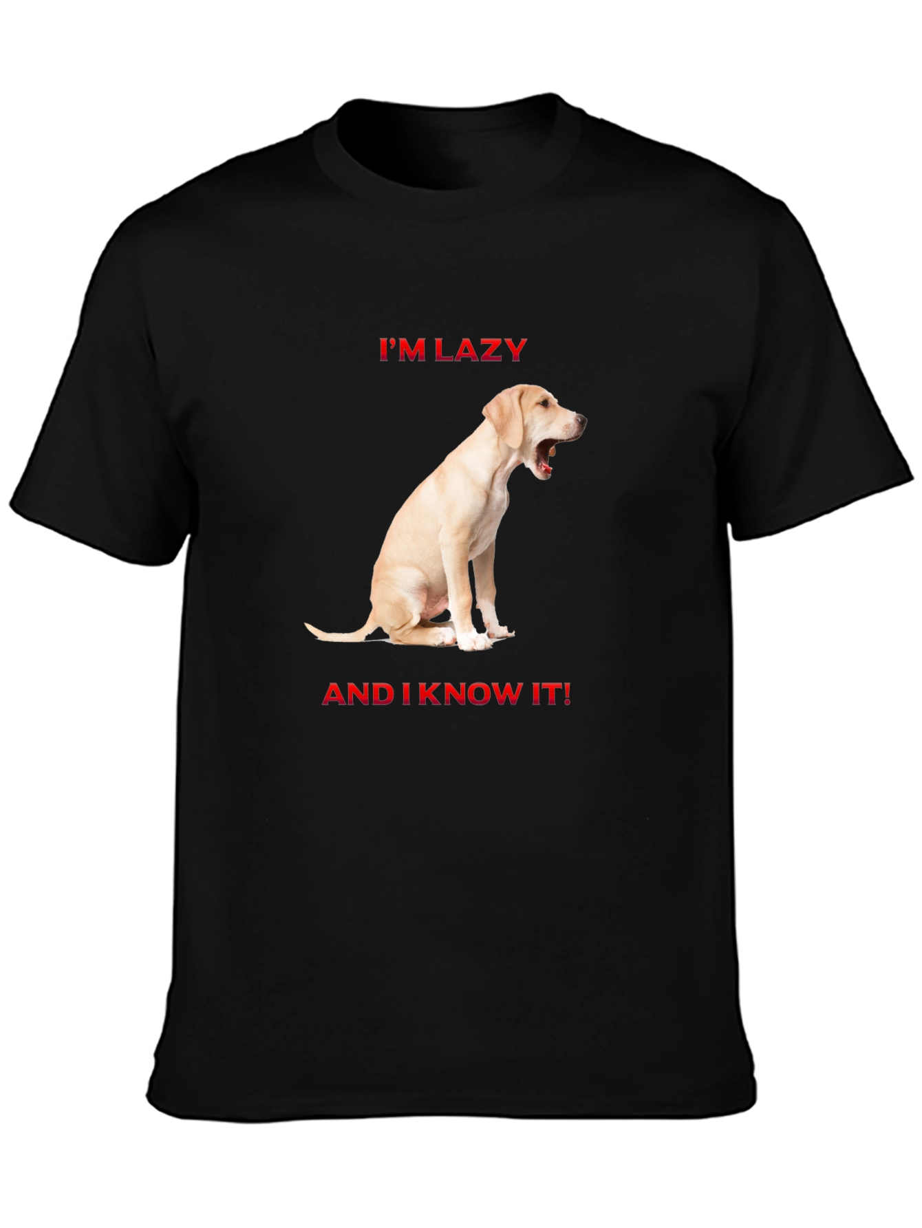Lazy Dog Graphic T-Shirt - Comfort & Style