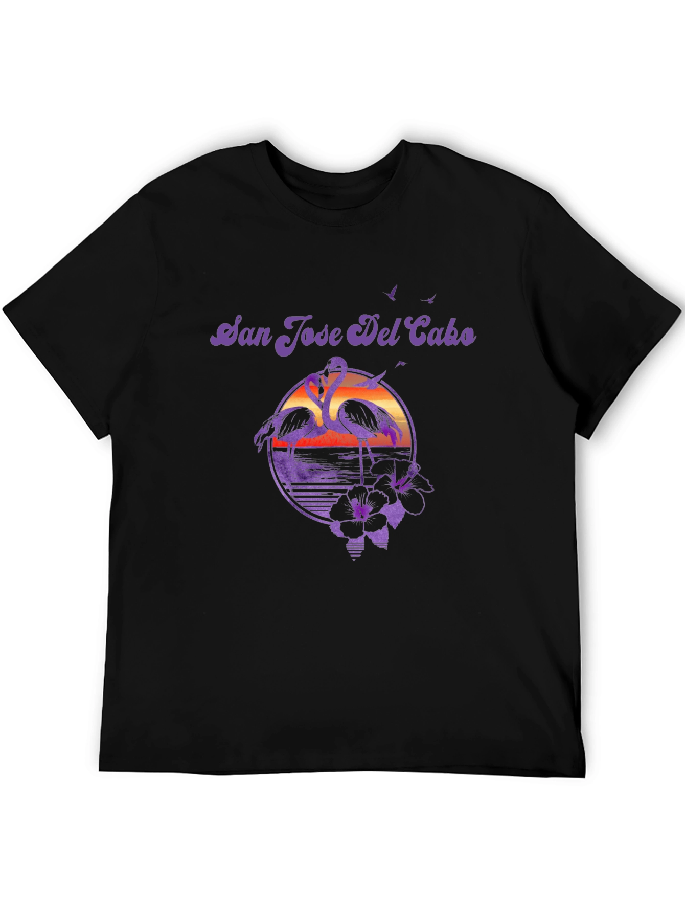 San Jose Del Cabo Flamingo T-Shirt