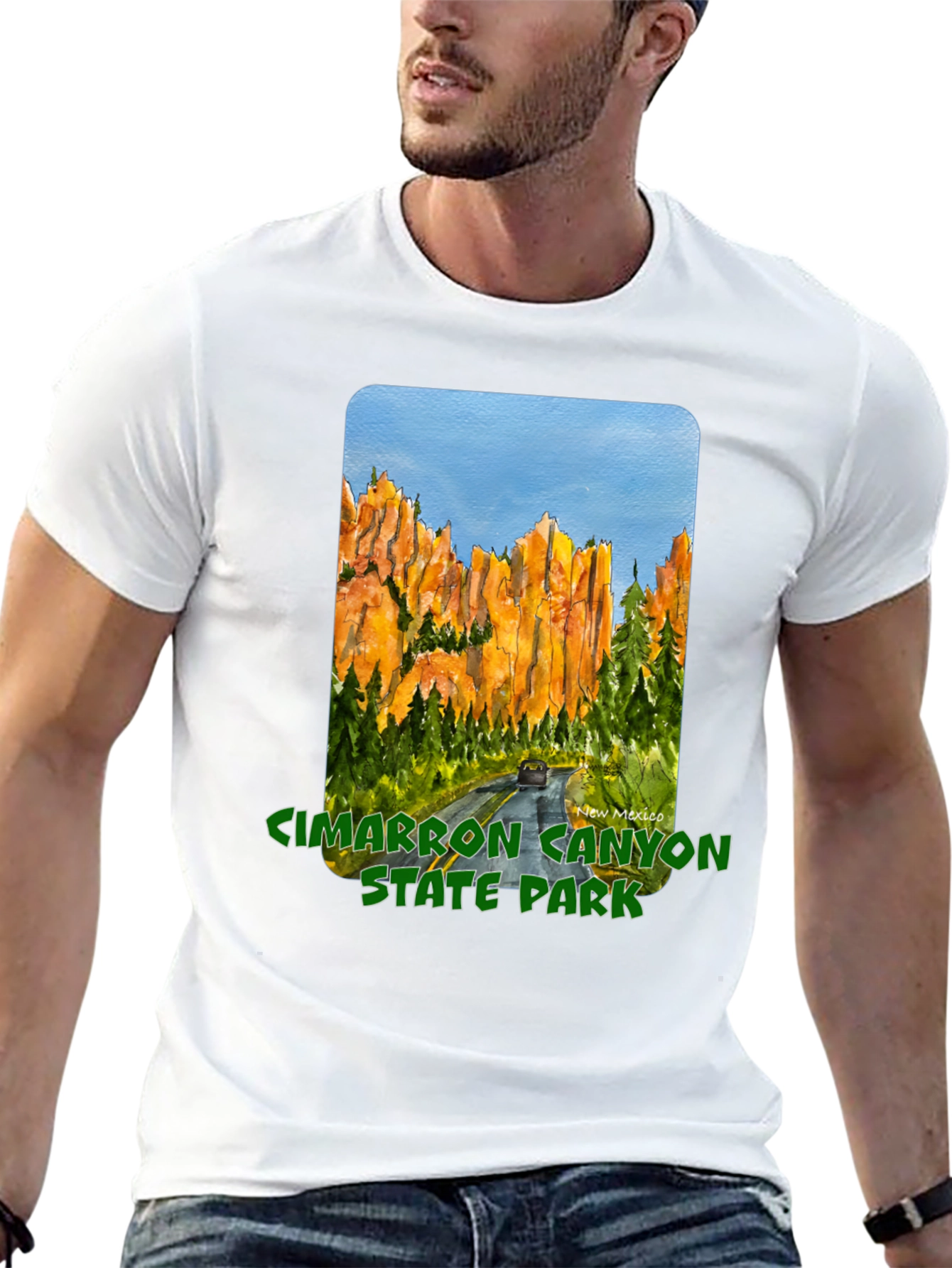 Cimarron Canyon State Park Black T-Shirt