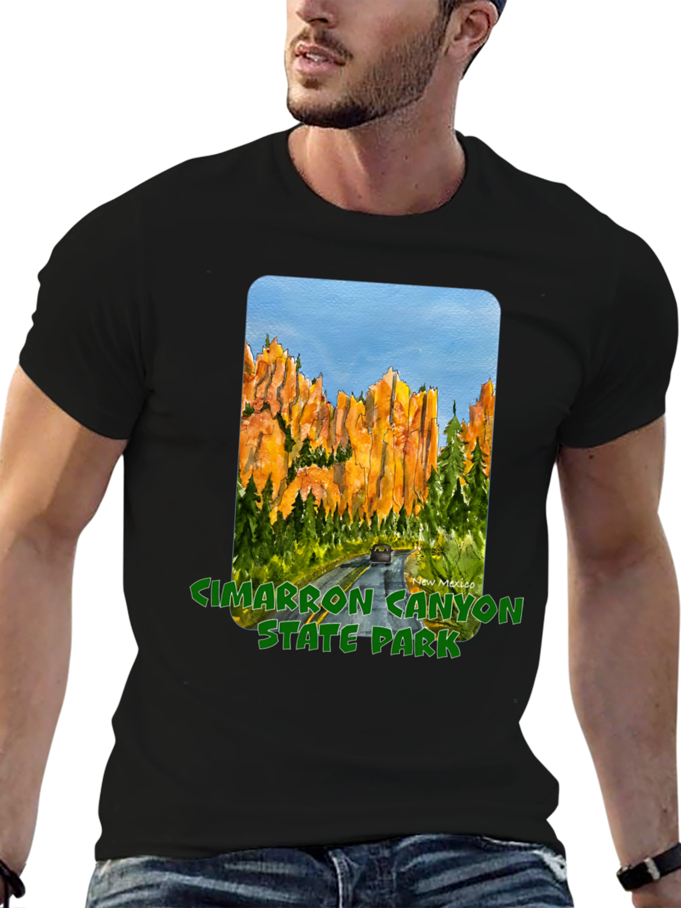 Cimarron Canyon State Park Black T-Shirt