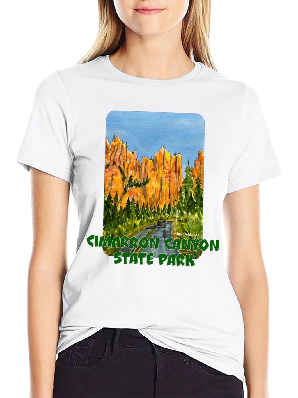 Cimarron Canyon State Park Black T-Shirt