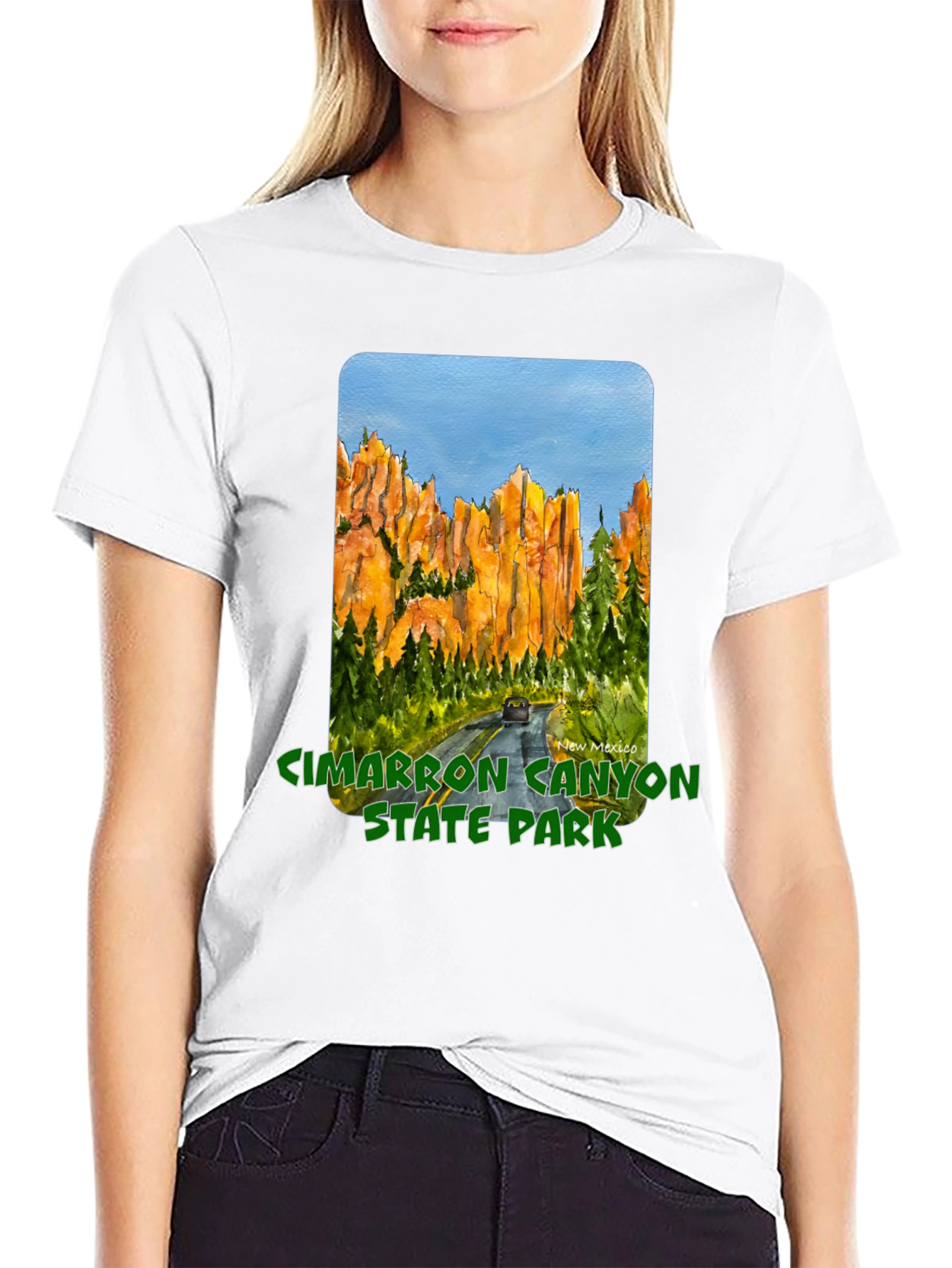 Cimarron Canyon State Park Black T-Shirt