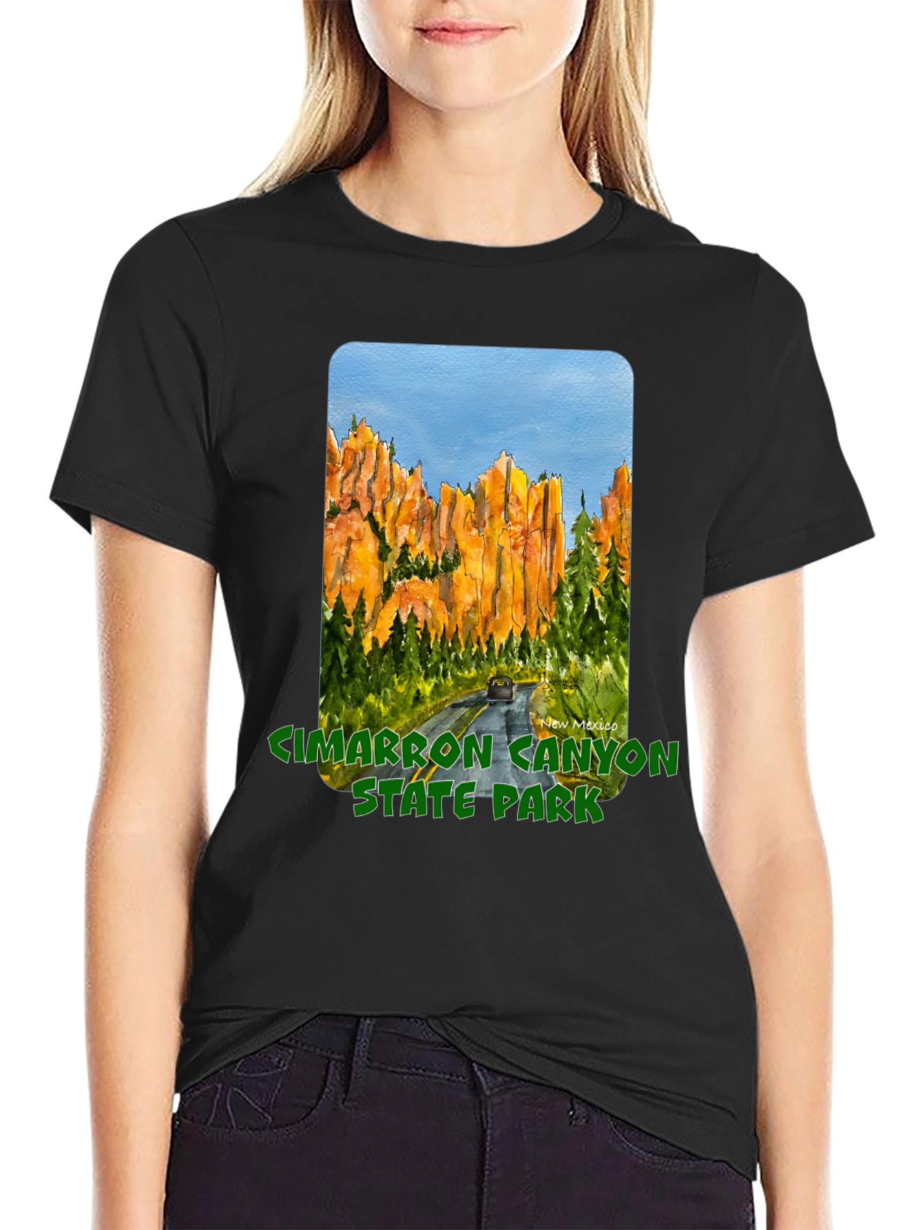 Cimarron Canyon State Park Black T-Shirt