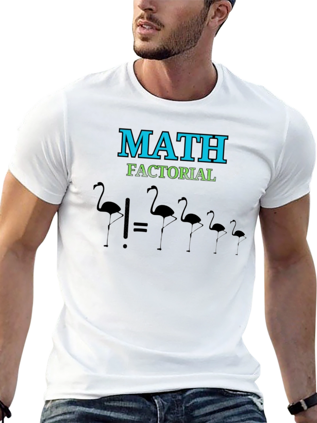 Math Factorial Flamingo T-Shirt