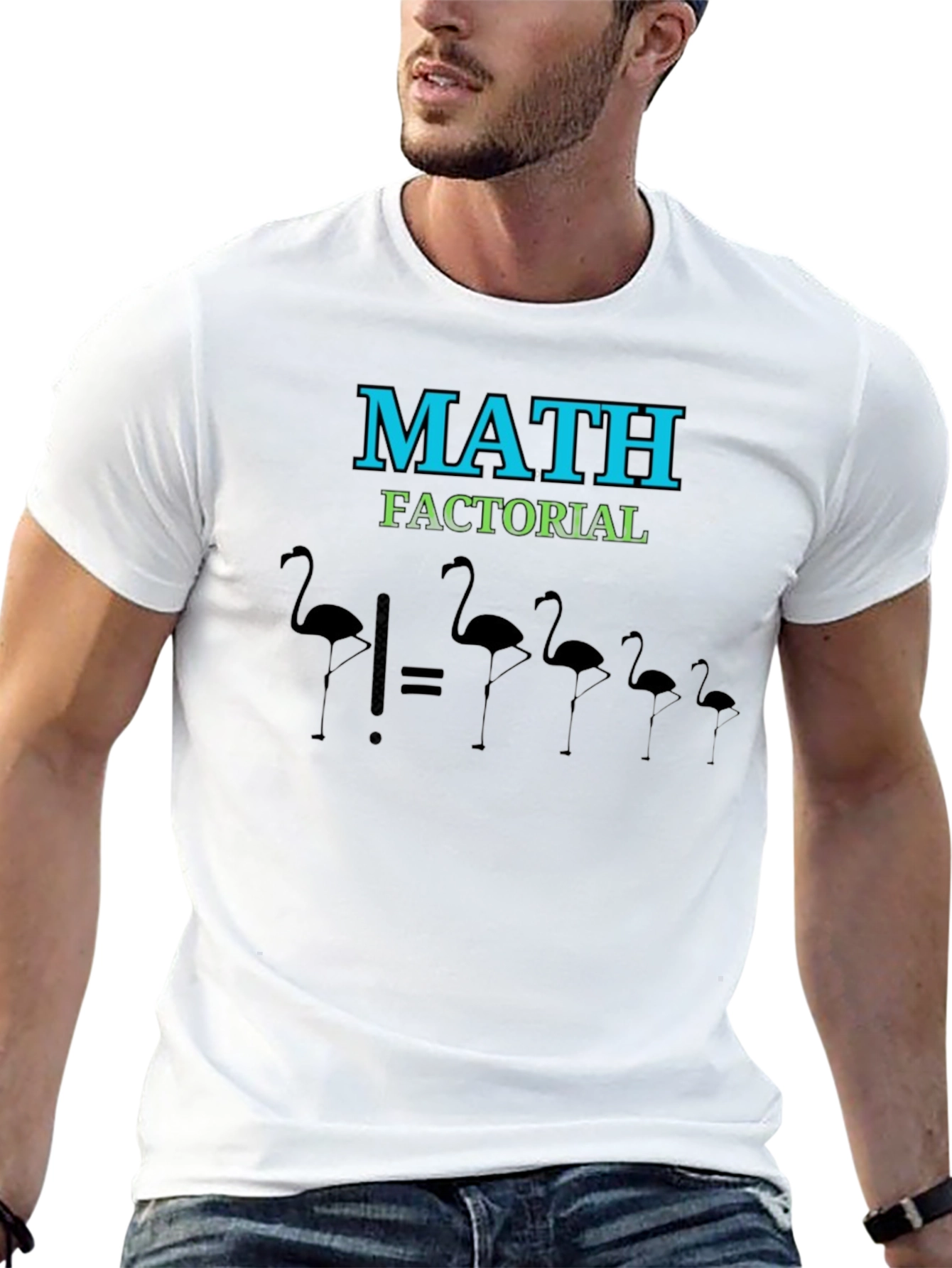 Math Factorial Flamingo T-Shirt