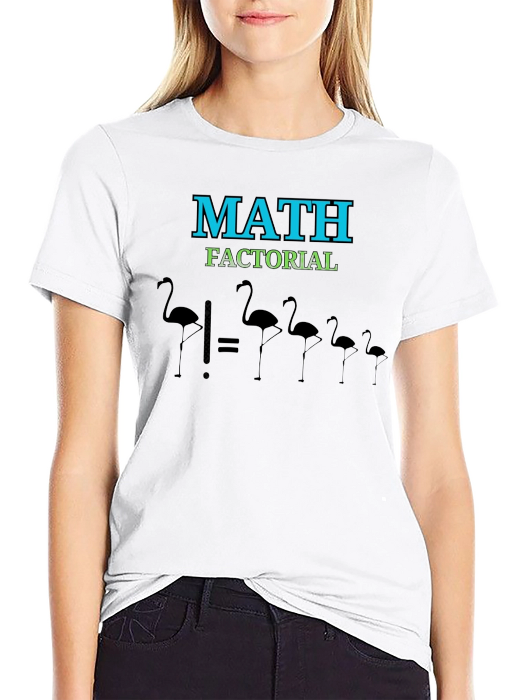 Math Factorial Flamingo T-Shirt