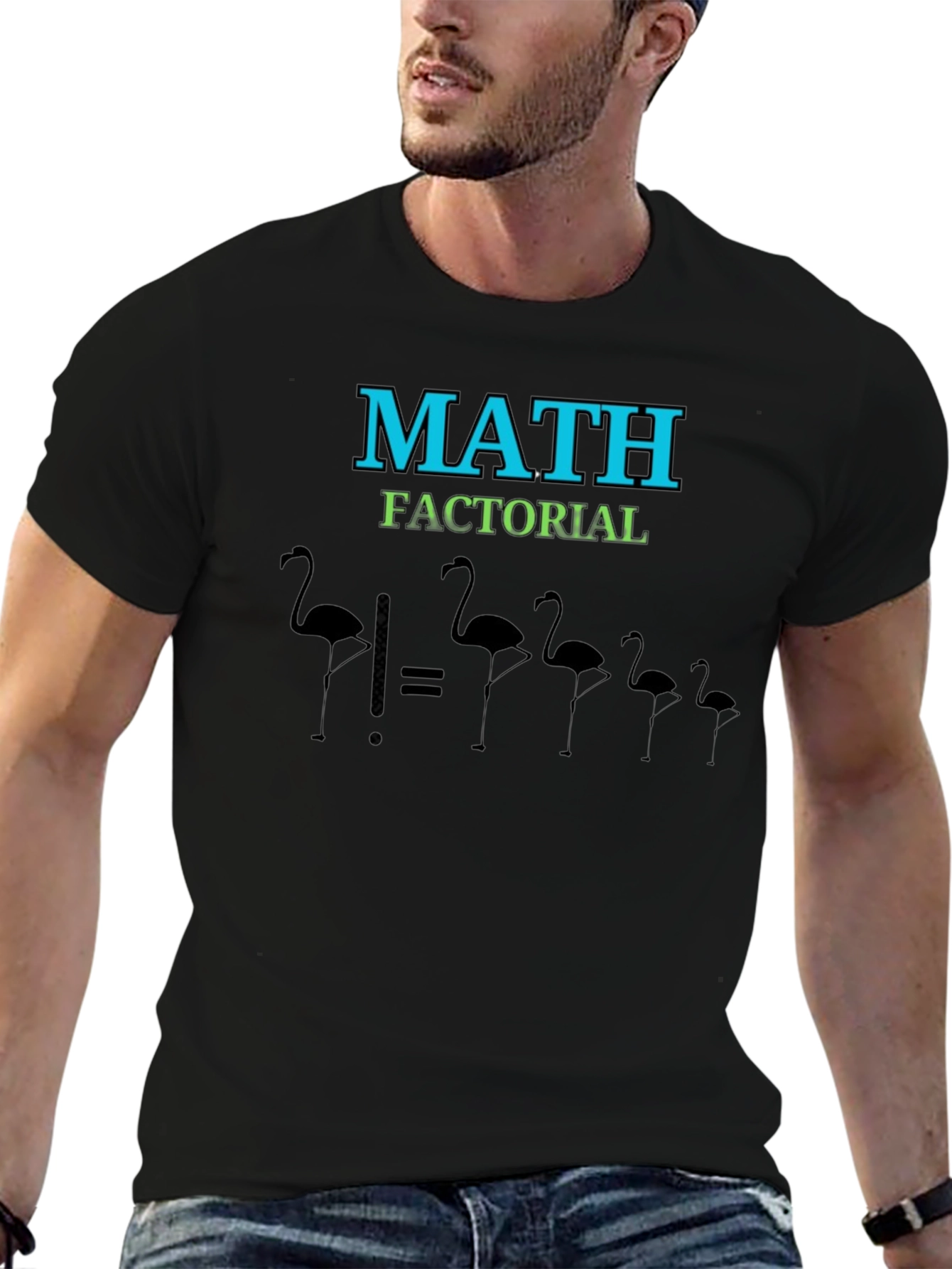 Math Factorial Flamingo T-Shirt
