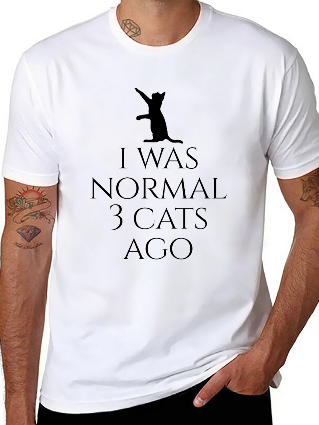 I Was Normal 3 Cats Ago Black T-Shirt