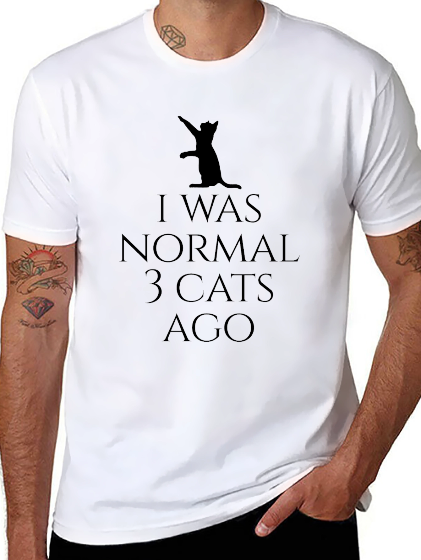 I Was Normal 3 Cats Ago Black T-Shirt