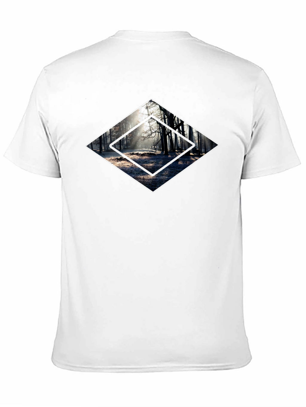 Mystic Forest Graphic Tee - Black Cotton