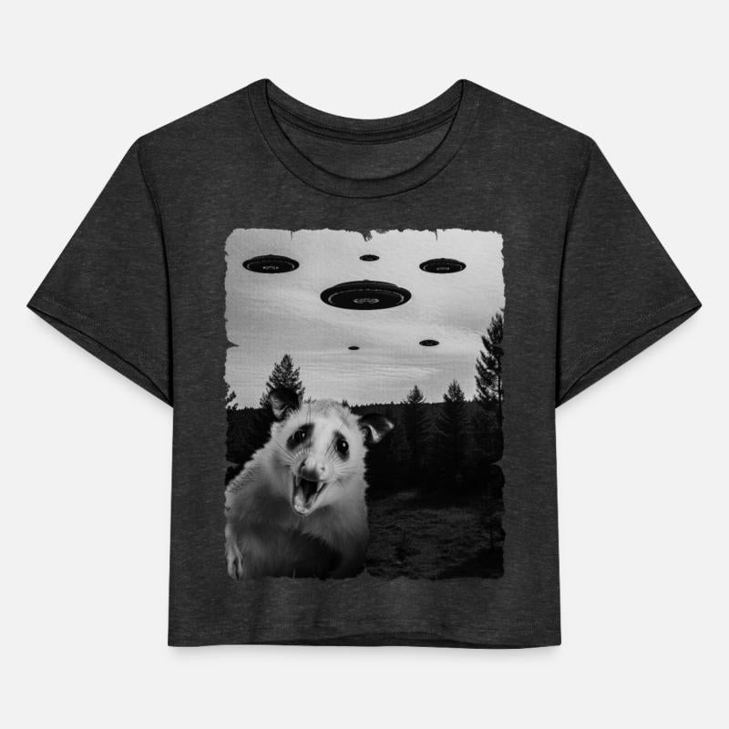 Opossum Alien Invasion Uap Weirdcore Aesthetic