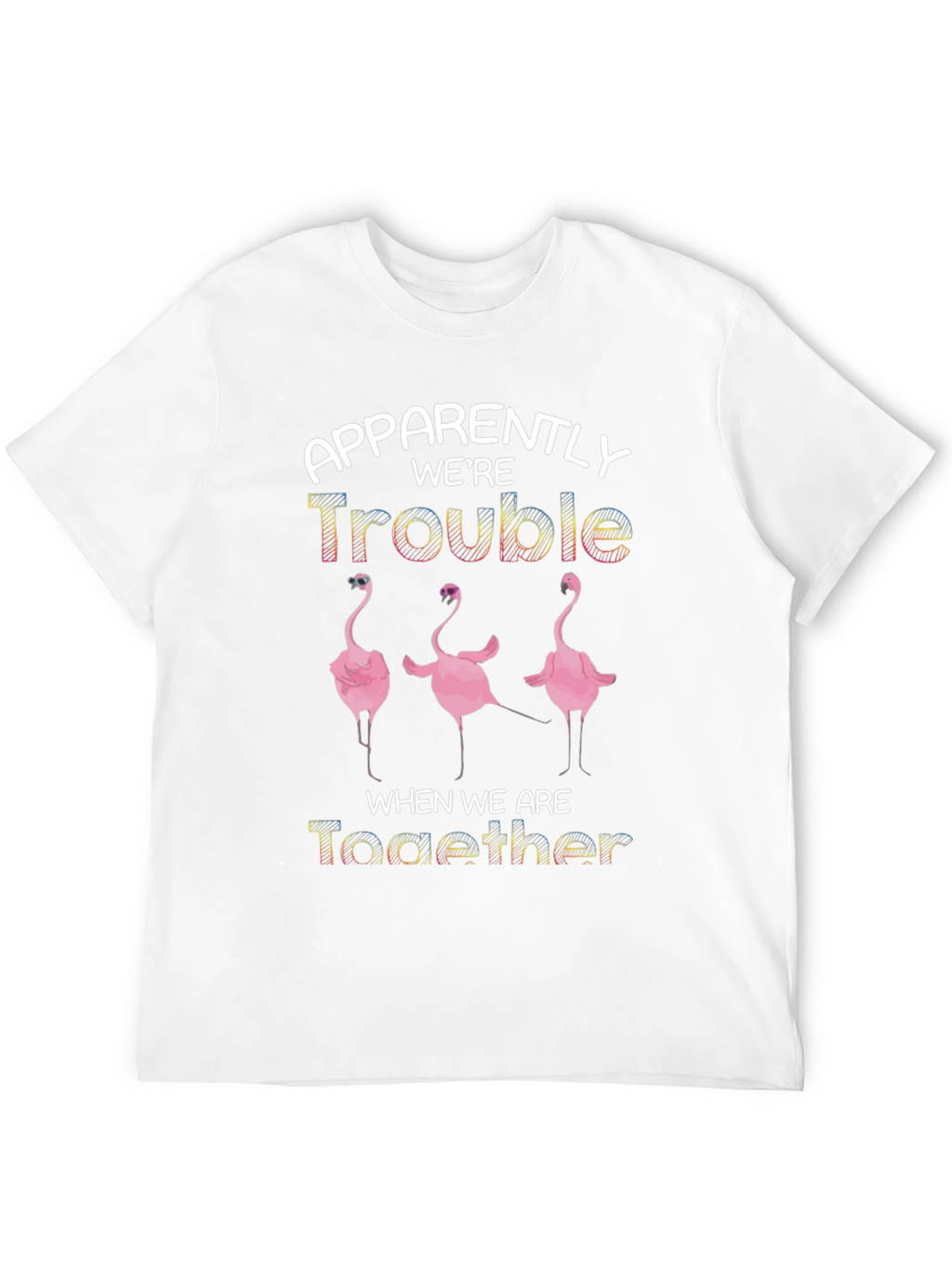 Apparently Were Trouble Flamingo T-Shirt