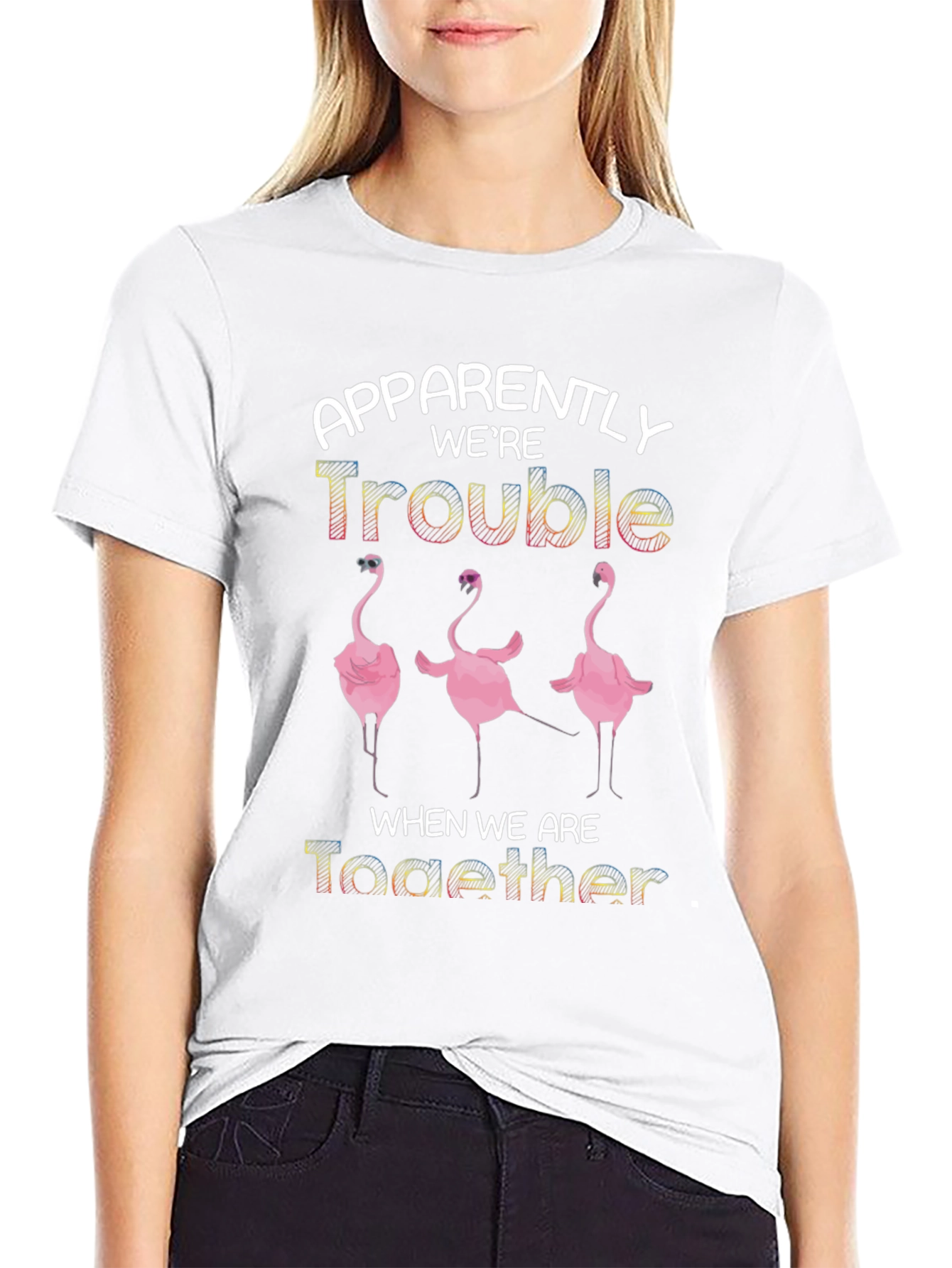 Apparently Were Trouble Flamingo T-Shirt