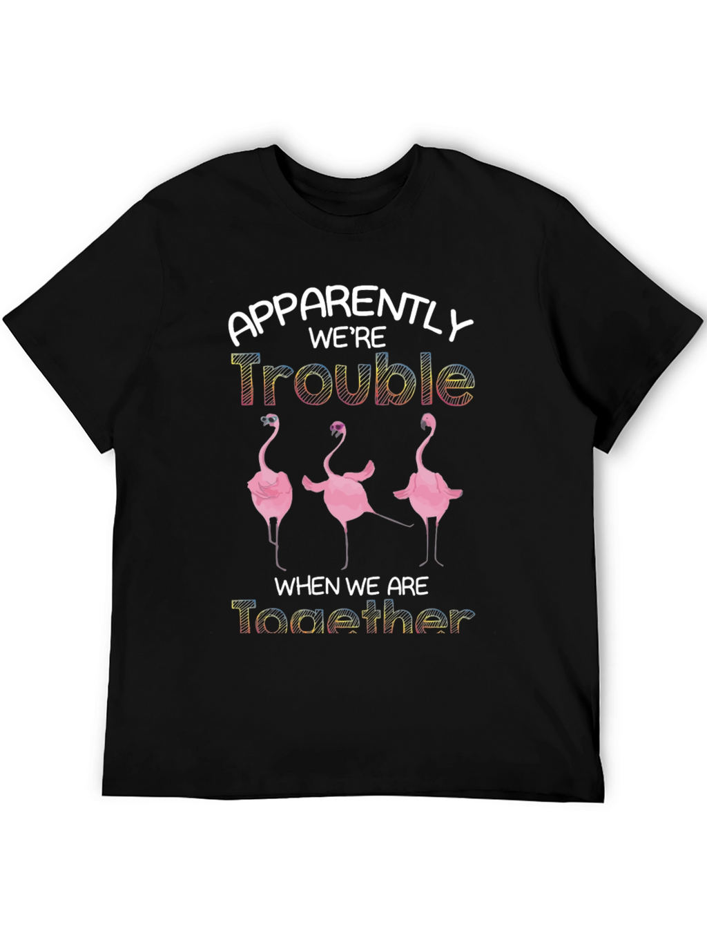 Apparently Were Trouble Flamingo T-Shirt