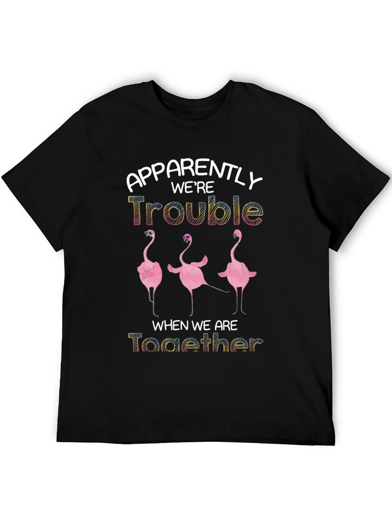 Apparently Were Trouble Flamingo T-Shirt