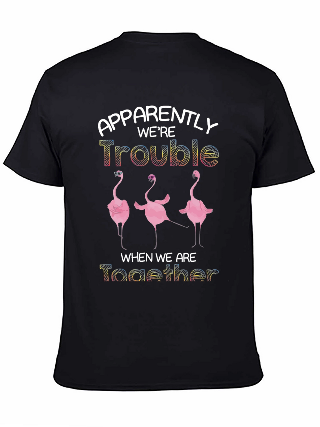 Apparently Were Trouble Flamingo T-Shirt