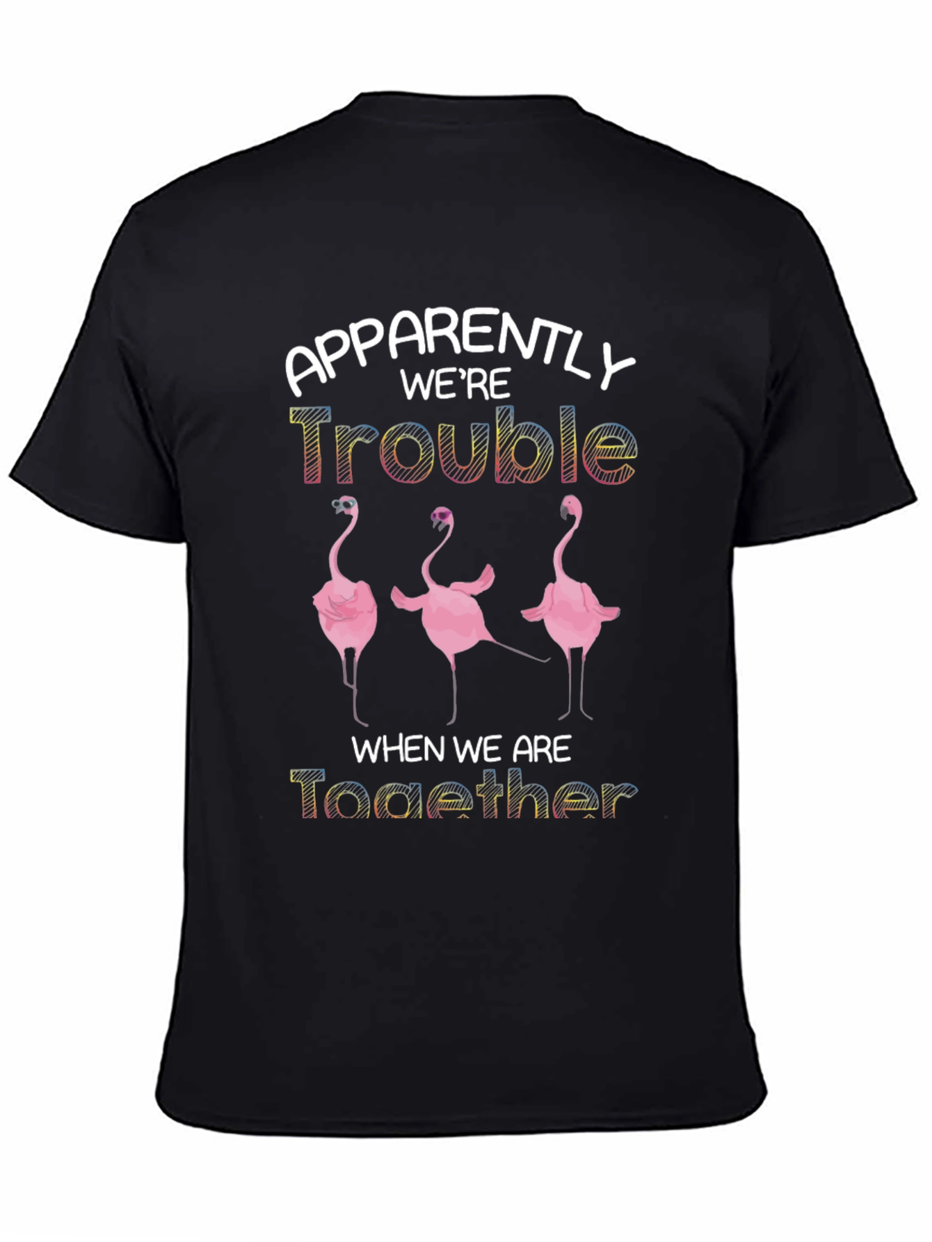 Apparently Were Trouble Flamingo T-Shirt