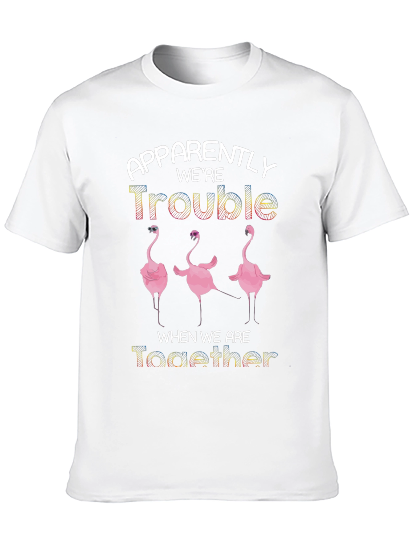 Apparently Were Trouble Flamingo T-Shirt