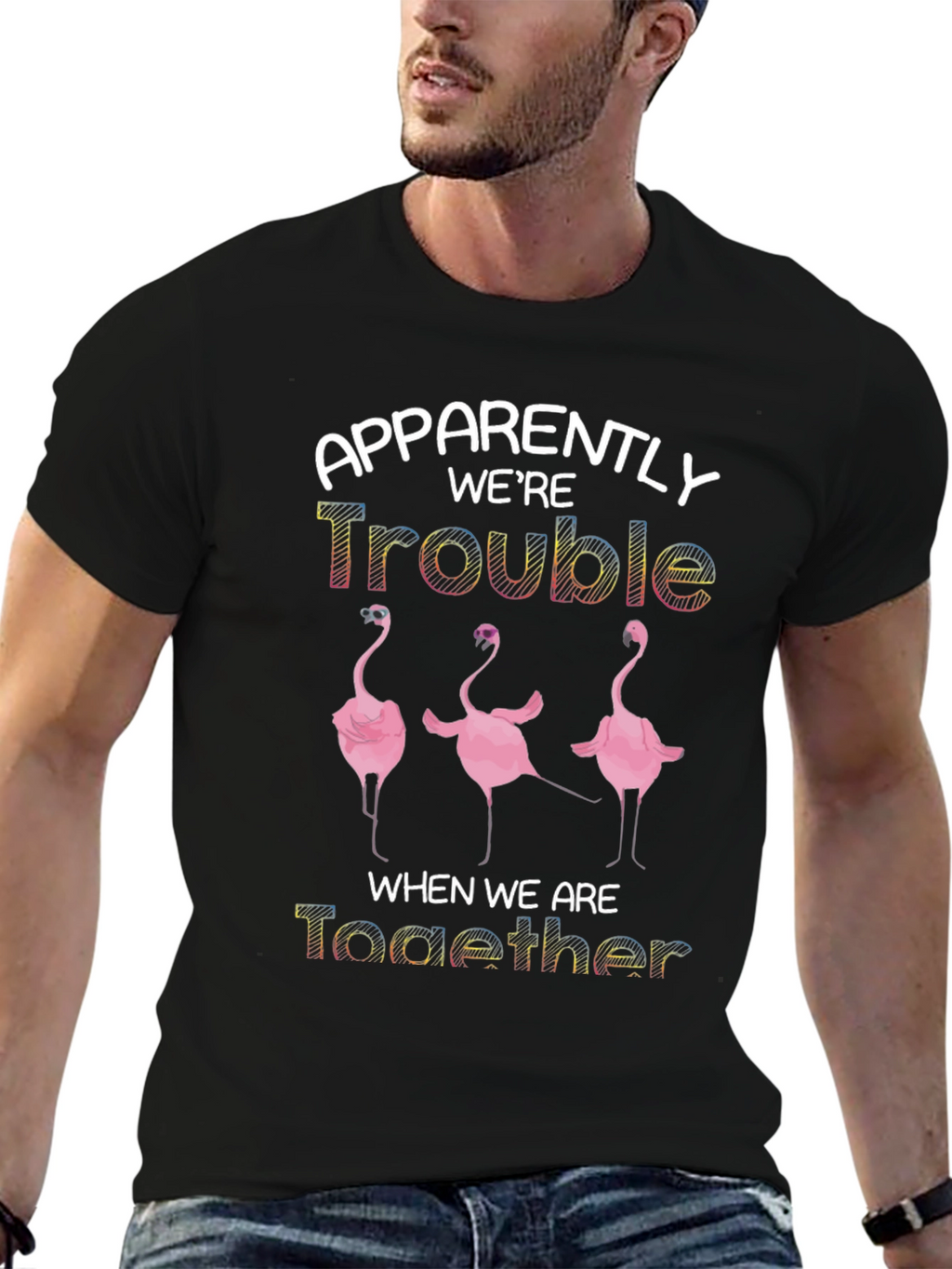 Apparently Were Trouble Flamingo T-Shirt