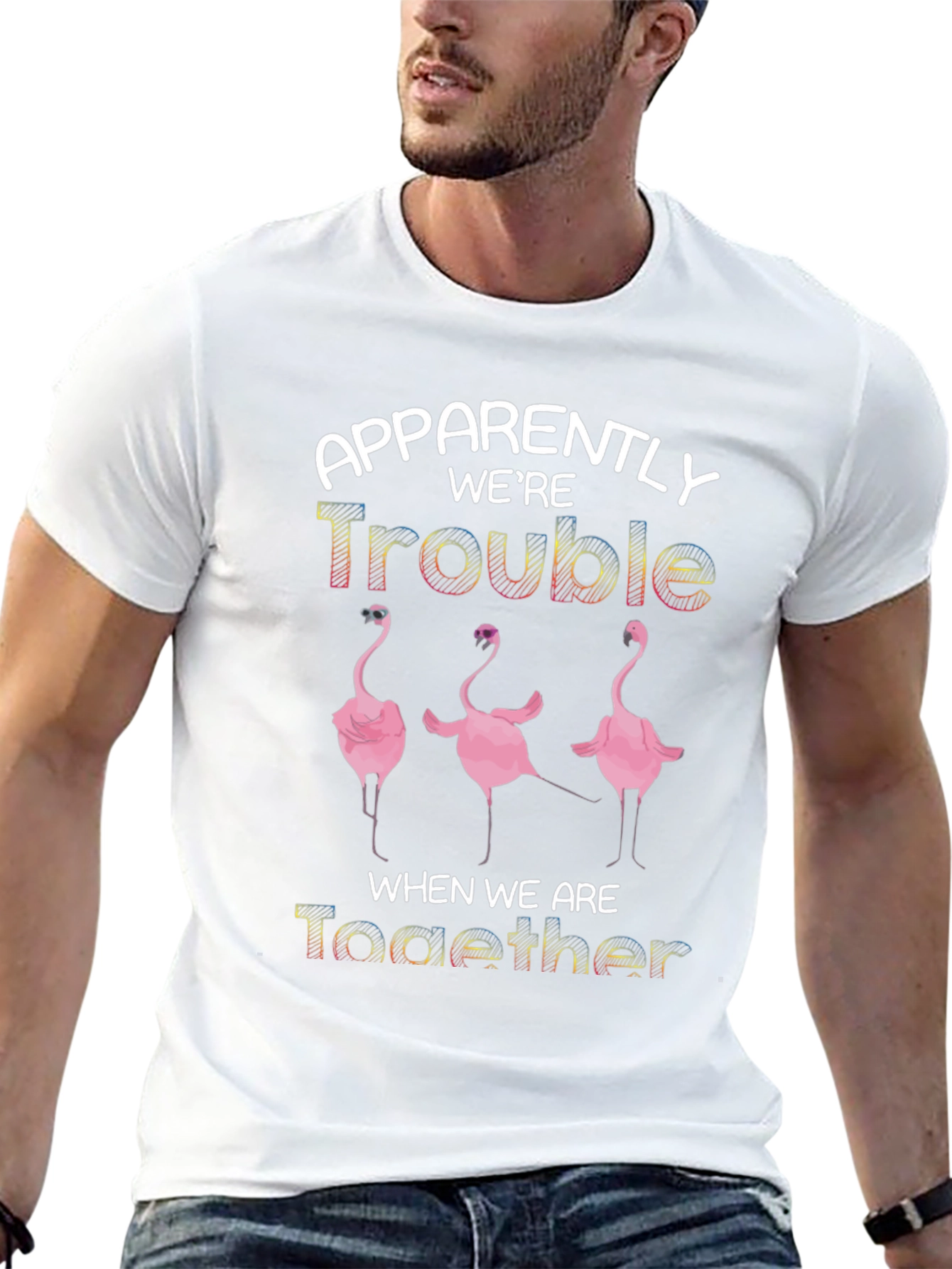 Apparently Were Trouble Flamingo T-Shirt