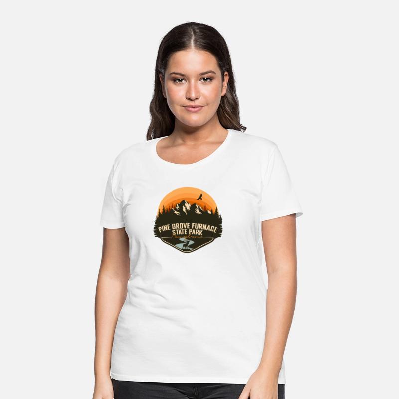 Pine Grove Furnace State Park Pennsylvania Retro