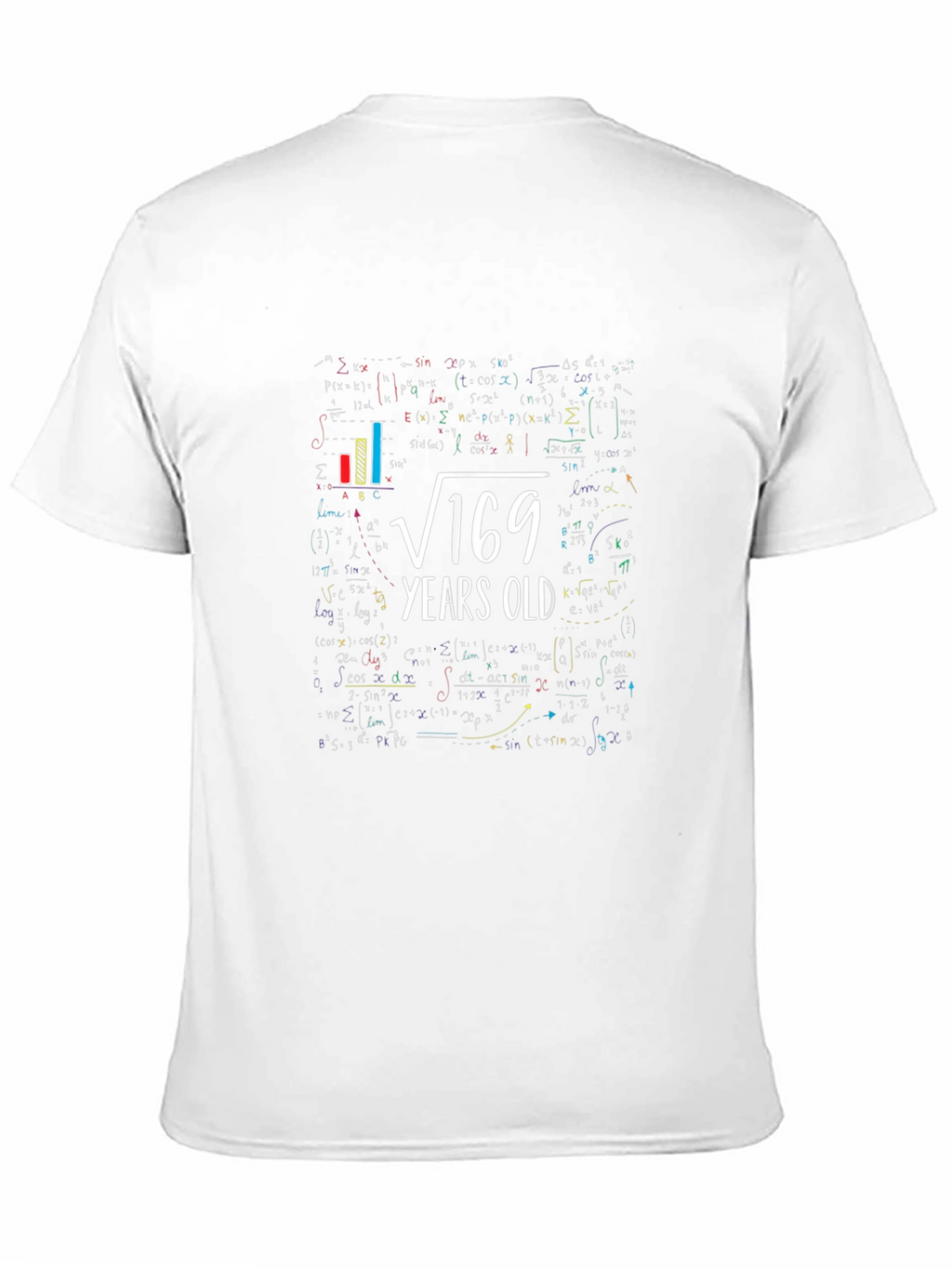 Square Root 169 Years Old Math T-Shirt