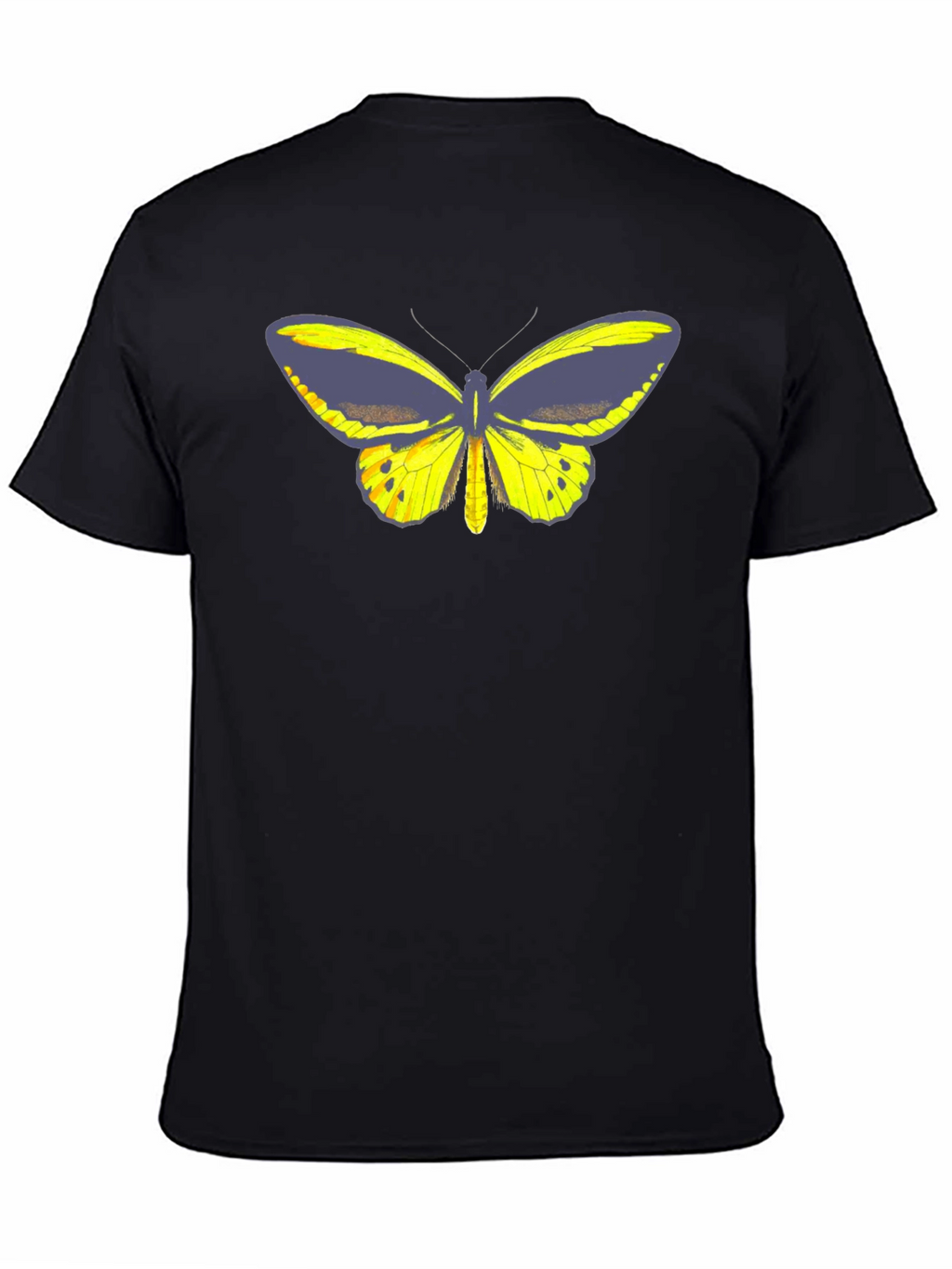 Butterfly Graphic Tee - Black Cotton Casual T-Shirt