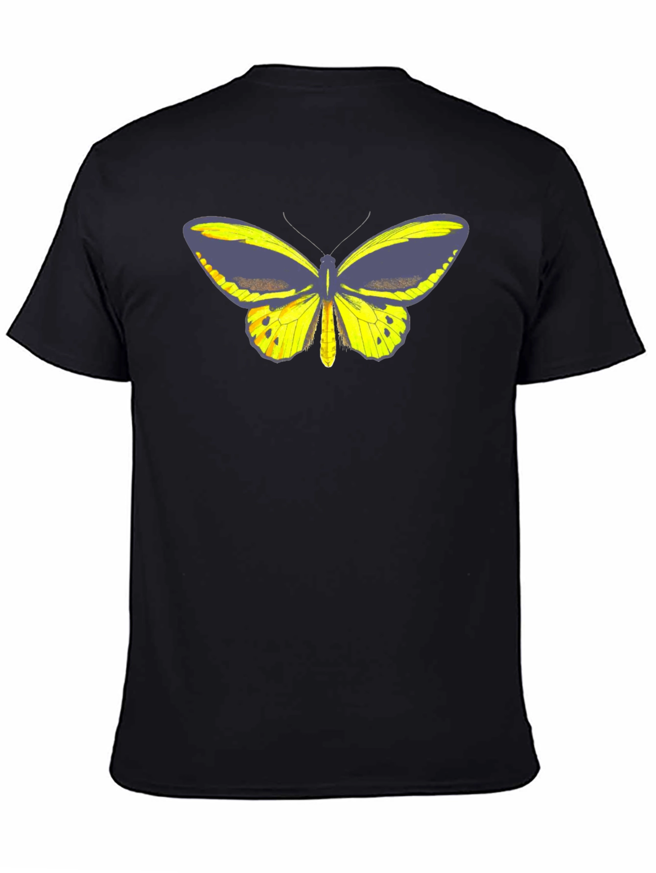 Butterfly Graphic Tee - Black Cotton Casual T-Shirt