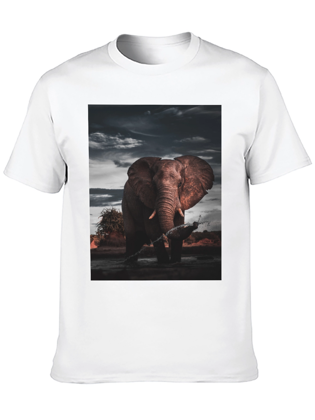 Elephant Graphic Black T-Shirt