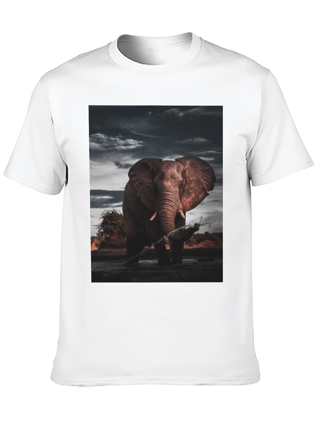 Elephant Graphic Black T-Shirt
