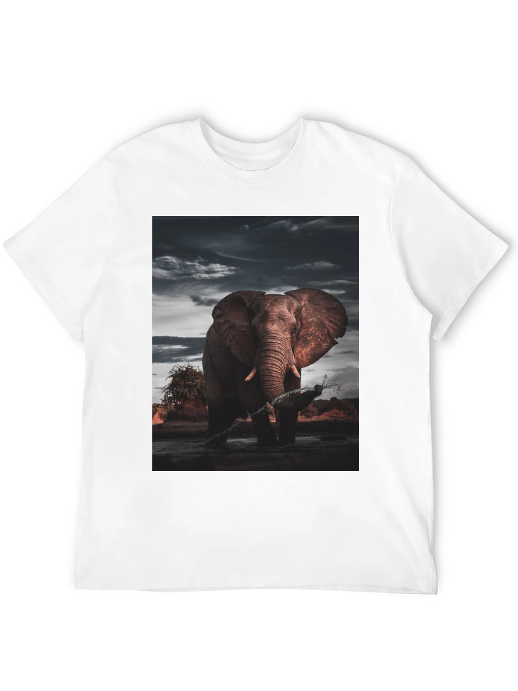 Elephant Graphic Black T-Shirt