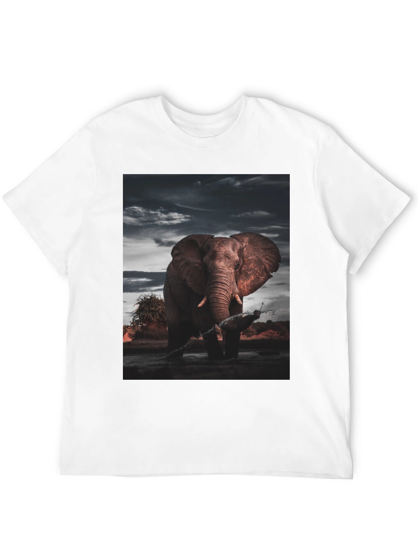 Elephant Graphic Black T-Shirt
