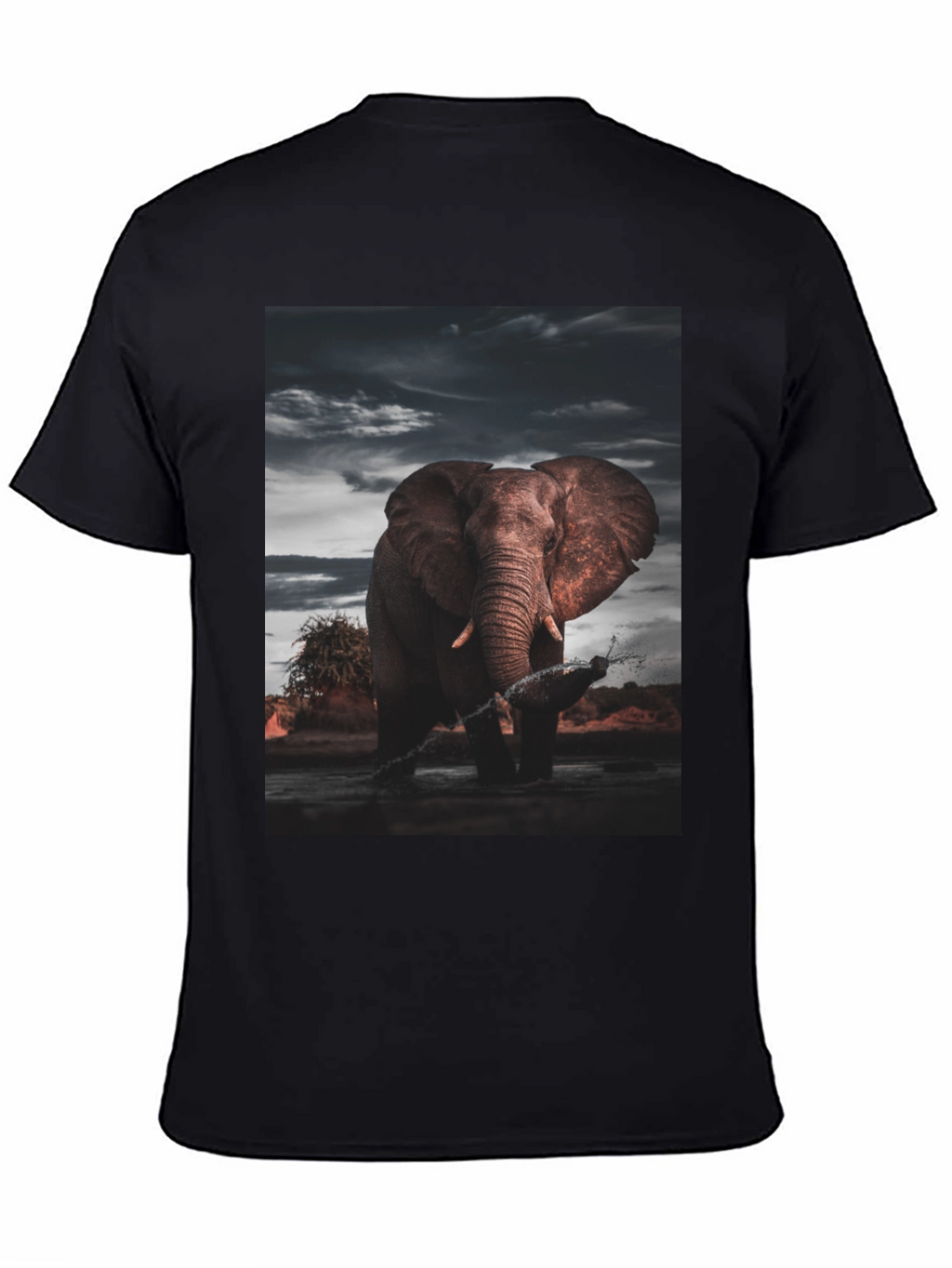Elephant Graphic Black T-Shirt