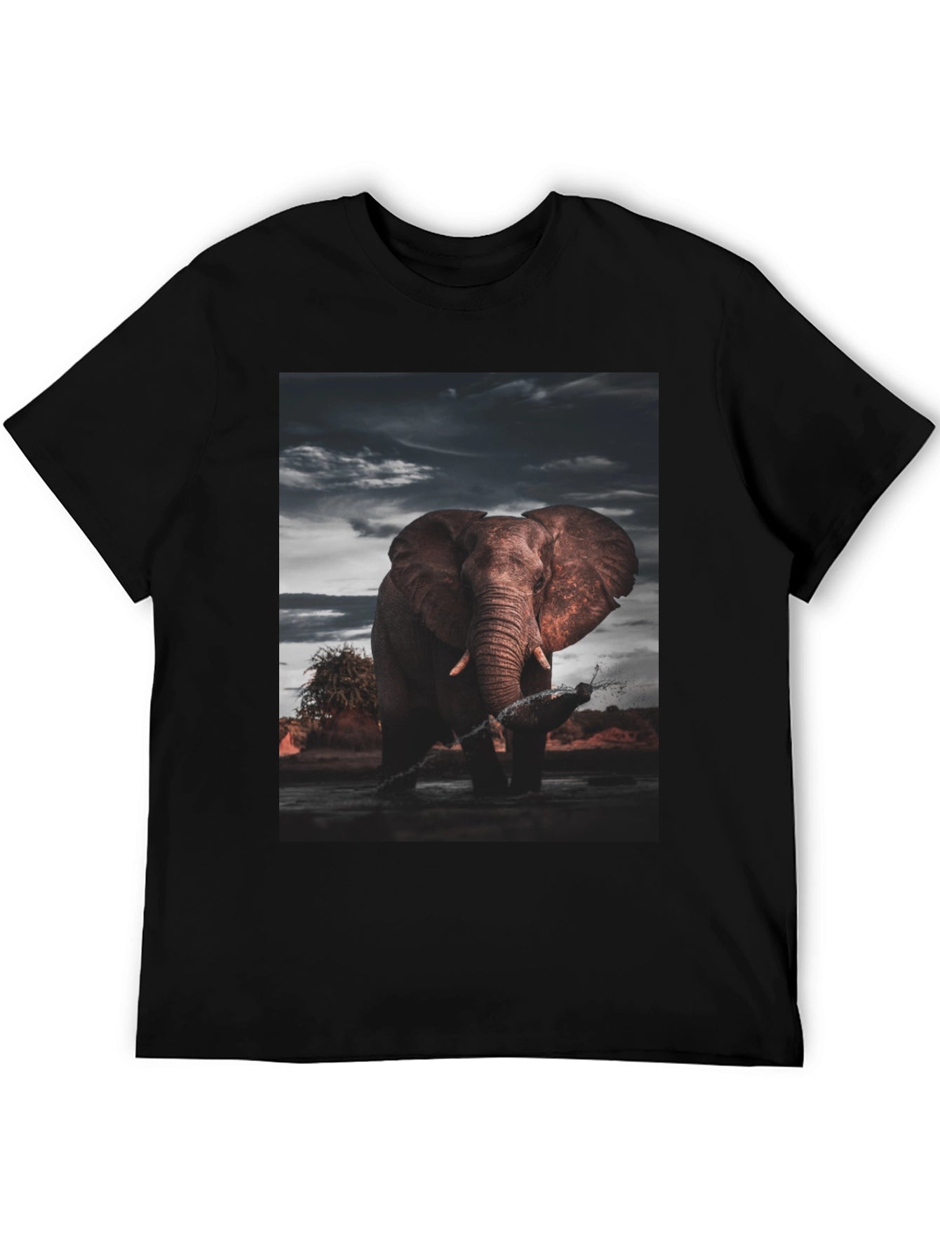 Elephant Graphic Black T-Shirt