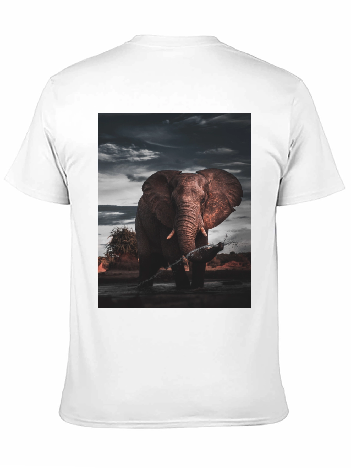 Elephant Graphic Black T-Shirt