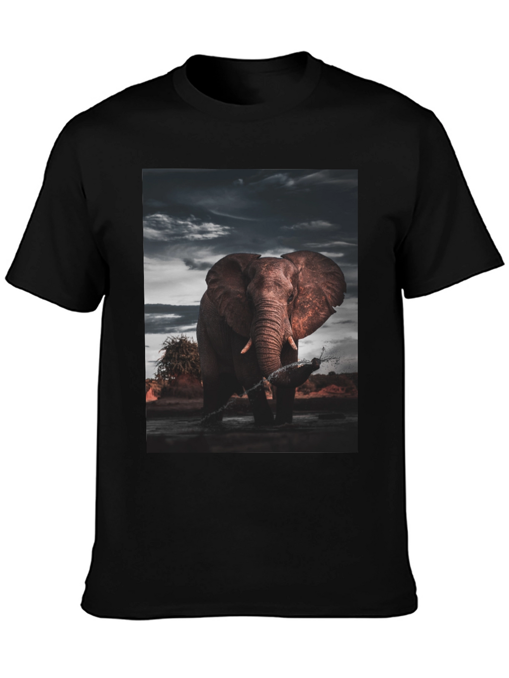 Elephant Graphic Black T-Shirt