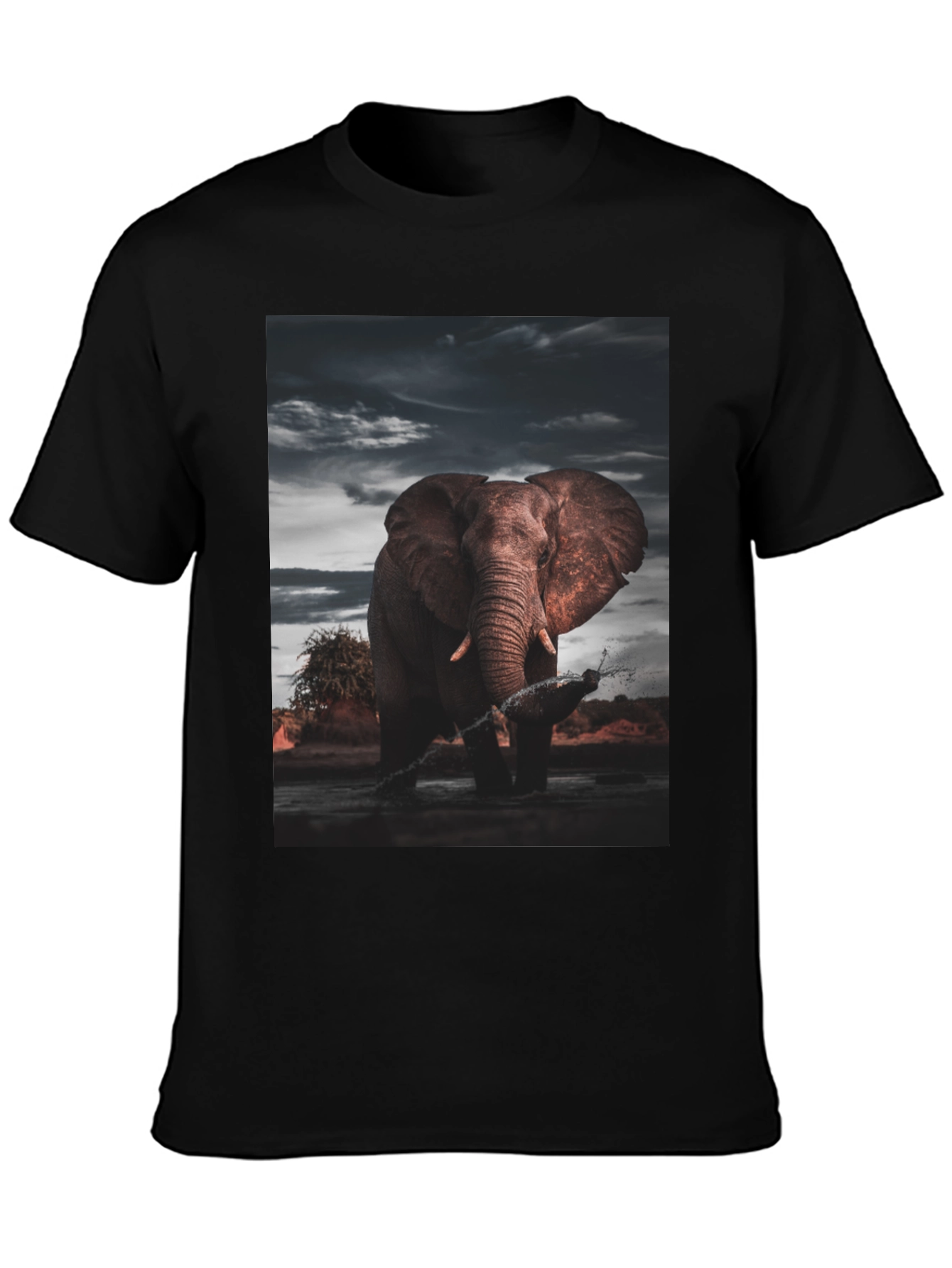 Elephant Graphic Black T-Shirt