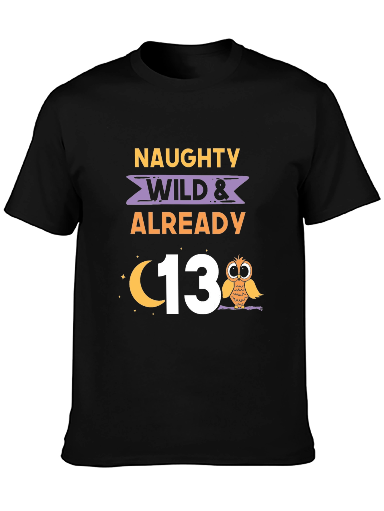 Naughty Wild & Already 13 Birthday T-Shirt