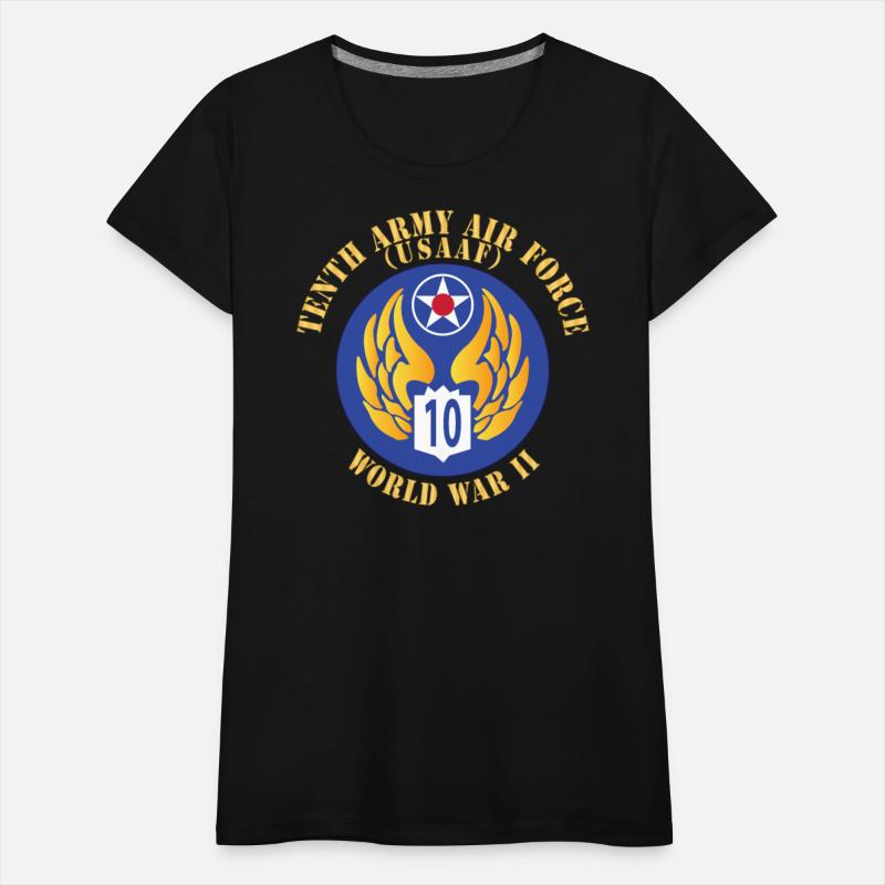 SSI AAF 10th Air Force WWII USAAF x 300