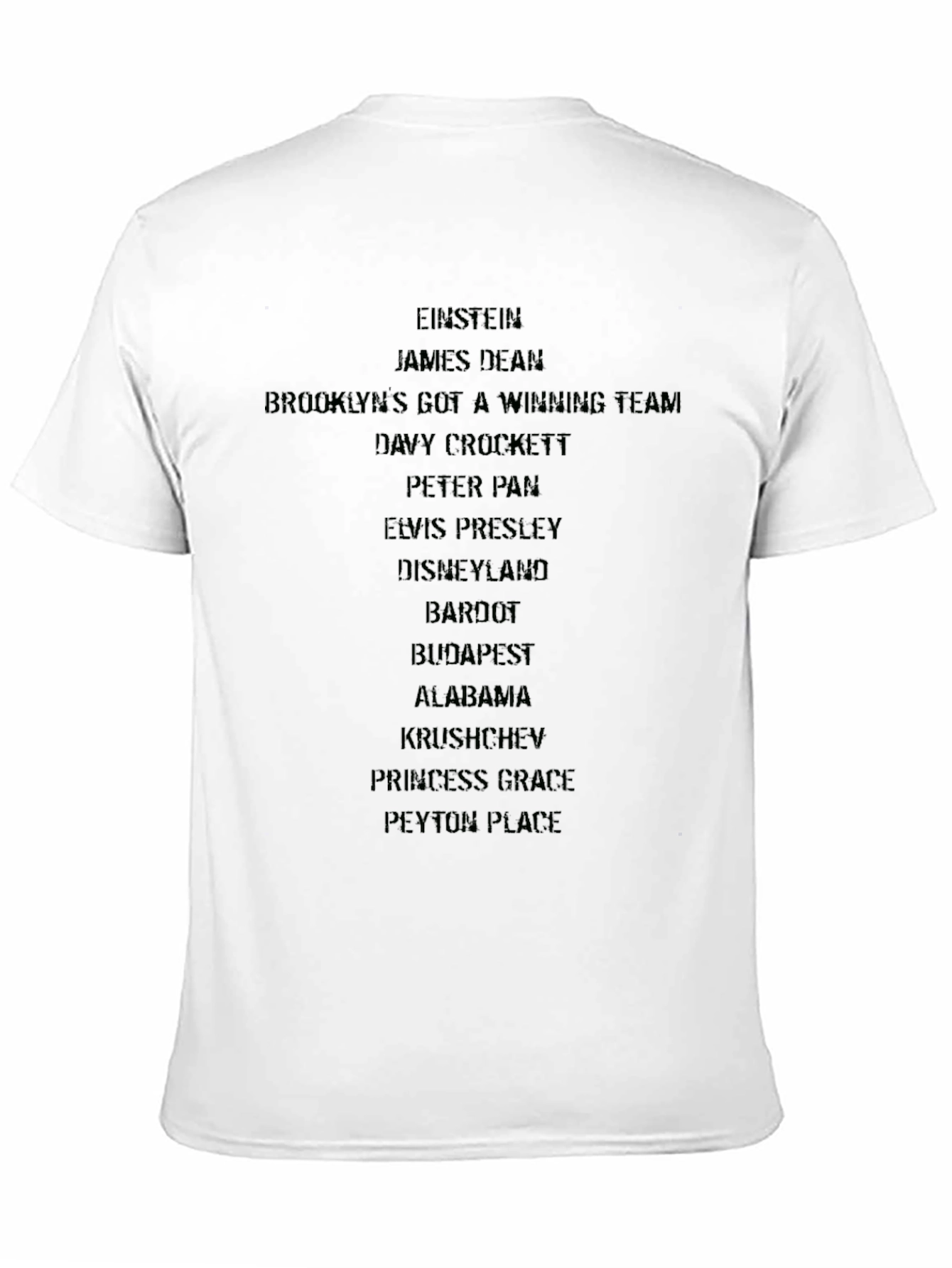 Einstein & Iconic Pop Culture Black T-Shirt