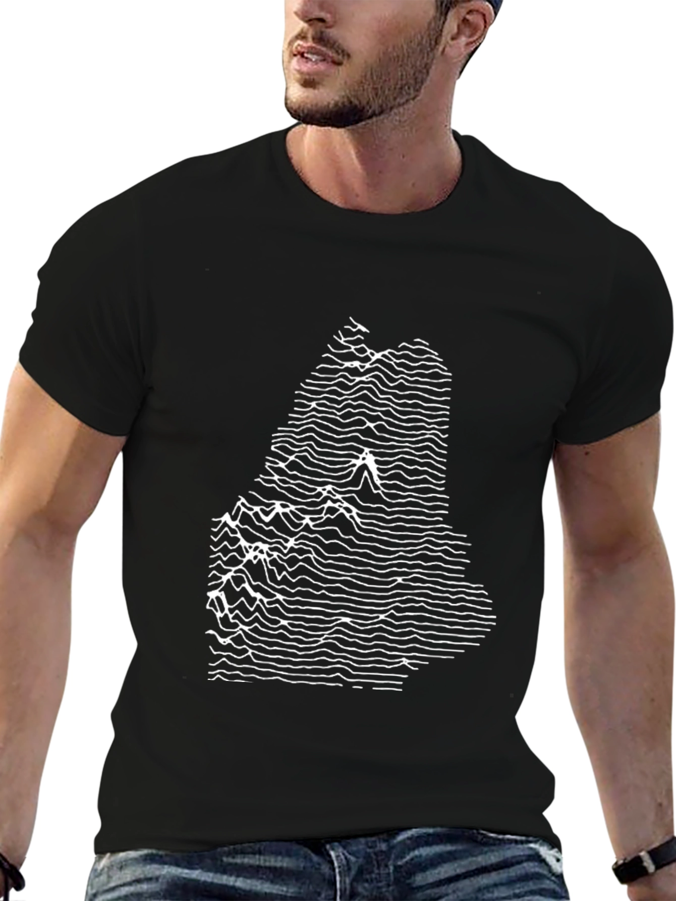 Abstract Maine State Graphic Tee - Black