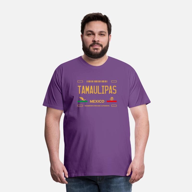 Tamaulipas Meco License Plate Aesthetic